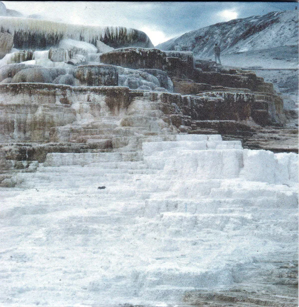 Celer - Future Predictions 4xCD box set (Two Acorns) JAPAN $30